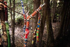 Colorful painted tree branches in a wooded natural outdoor environment, a Photo by AS photostudio