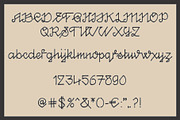 Bohemian Wise Script, a Script Font by Shon Price Fonts (Thumbnail 4 of 6)