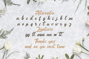 Anjelica Script - Bold Script Font, a Script Font by StringLabs (Thumbnail 13 of 13)