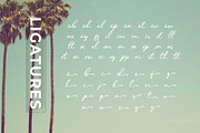 Malline Script, a Script Font by khurasan (Thumbnail 7 of 9)