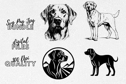 Labrador Retriever SVG - Dog Clipart