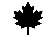 Maple Leaf Oak Leaf Autumn, an Object Graphic by Gfx_Store (Thumbnail 4 of 15)