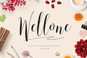 Wellone, a Script Font by vuuuds (Thumbnail 1 of 5)