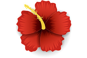 Red hawaiian hibiscus flower vector, an Object Illustration by SiberianArt