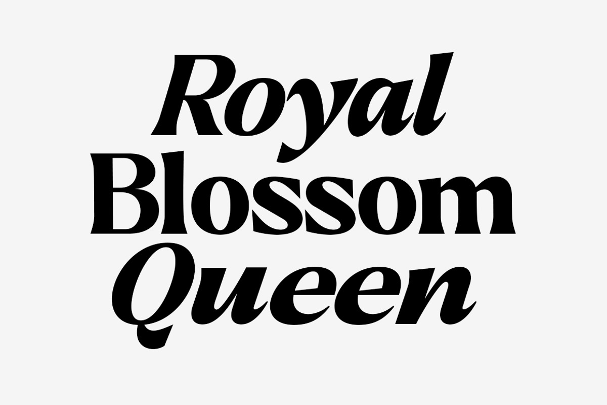 Callum Text Serif | 9 Font, a Serif Font by Positive TypeFoundry (Photo 2 of 13)