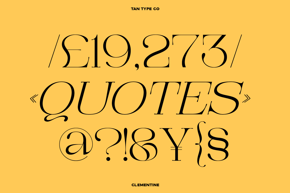 TAN - CLEMENTINE, a Serif Font by TanType (Photo 14 of 20)