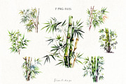 Watercolor Bamboo Trees, a Decorative Illustration by Vasmila (Thumbnail 3 of 8)