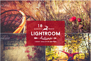 10 Autumn Vintage Lightroom Presets, a Plug-in Add-On by Jana Mänz Photography (Thumbnail 3 of 4)