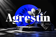 Agrestin, a Serif Font by Black Studio (Thumbnail 1 of 15)