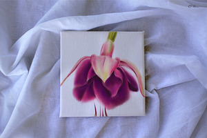 Fuchsia - Watercolor Flowers