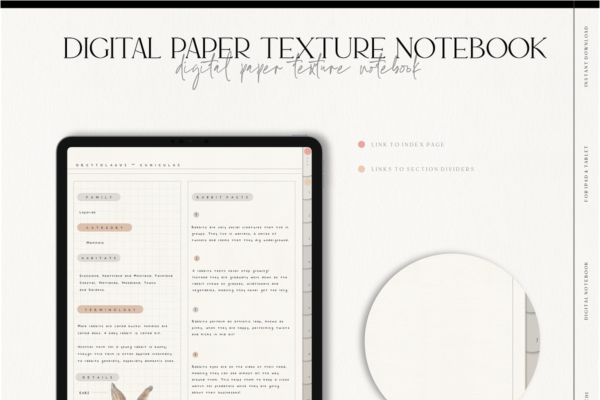 Digital Paper Texture Notebook, a Stationery Template by MainichiDesign (Photo 2 of 10)