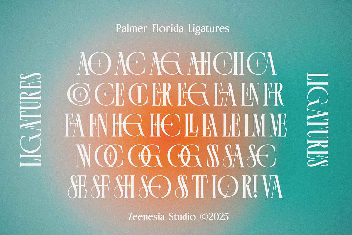 Palmer Florida, a Serif Font by zeenesia (Photo 16 of 18)