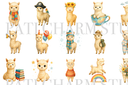 18 Alpaca Clipart, an Animal Illustration by Pati Charm Studio (Thumbnail 2 of 8)