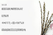 Delicate Romance Font Duo, a Script Font by Kristy Hatswell (Thumbnail 8 of 8)