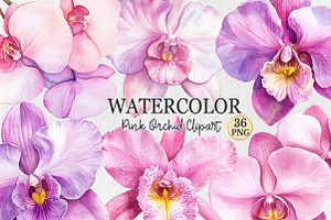Watercolor Pink Orchid Clipart, a Seasonal Illustration by Rose Art