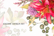 Tropical collection. Summer design., a Decorative Illustration by Lisima (Thumbnail 16 of 19)