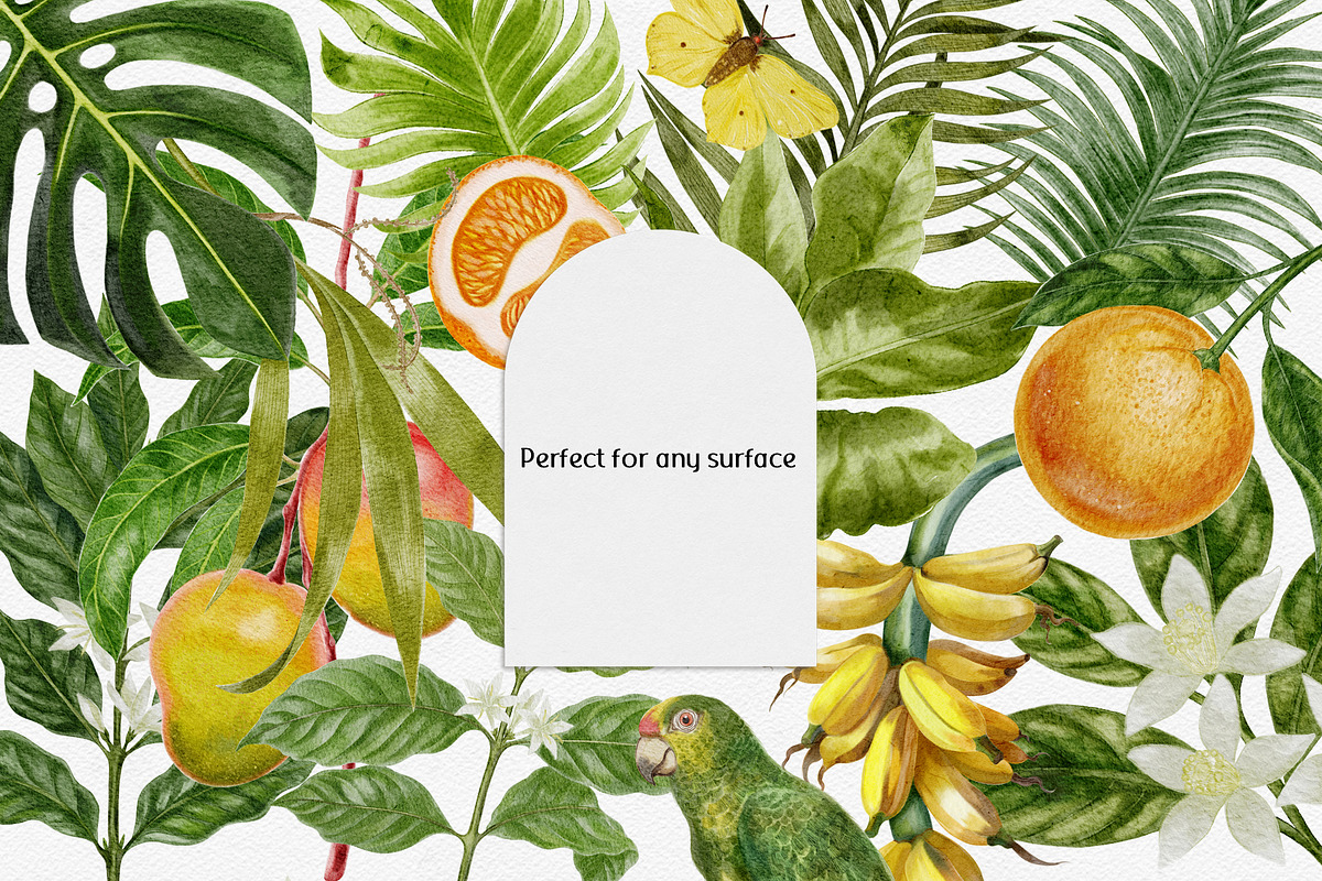 Vintage Botanical clipart, an Object Graphic by mila_leev (Photo 8 of 8)