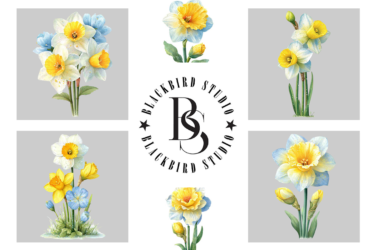 Watercolor Daffodil Clipart, an Illustration by Black Bird Studio (Photo 5 of 5)
