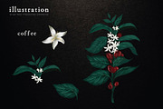 Coffee Illustration, an Illustration by Elysamunster (Thumbnail 3 of 7)