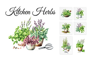 Kitchen Herbs. Watercolor collection, a Healthcare Illustration by Daria Ustiugova
