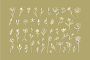 Elegant Botanicals | 100% Hand drawn, a Decorative Illustration by Olia (Thumbnail 5 of 14)