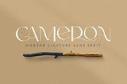 Cameron | Modern Sans Serif Font, a Sans Serif Font by Kandella's Art (Thumbnail 1 of 17)