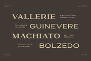 GARLEUX Duo Display Font, a Serif Font by sentype (Thumbnail 2 of 8)
