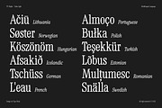 TF Mighu - Modern Slab Serif, a Serif Font by Type Flock (Thumbnail 11 of 15)