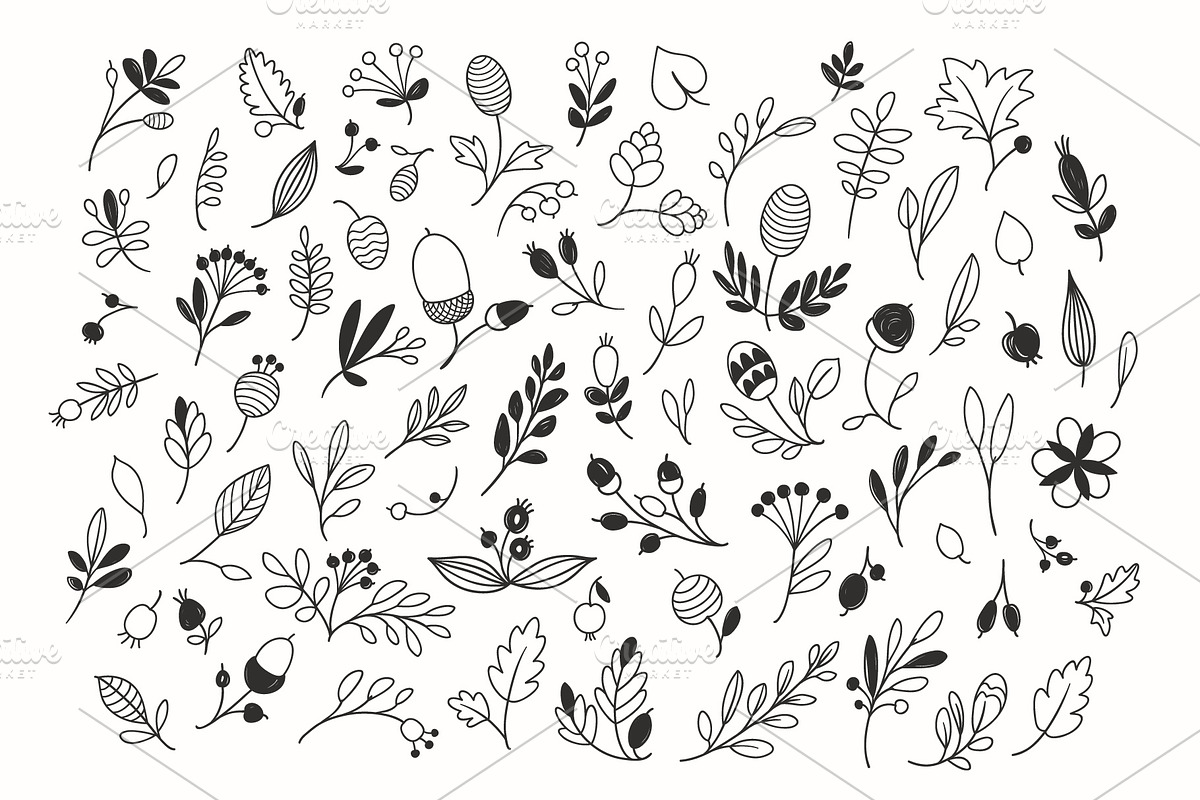 Autumn Floral Vector Drawings, a Decorative Illustration by Adiemus (Photo 6 of 6)