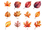 Watercolor Fall Leaves Clipart, a Seasonal Illustration by CitraGraphics (Thumbnail 4 of 5)