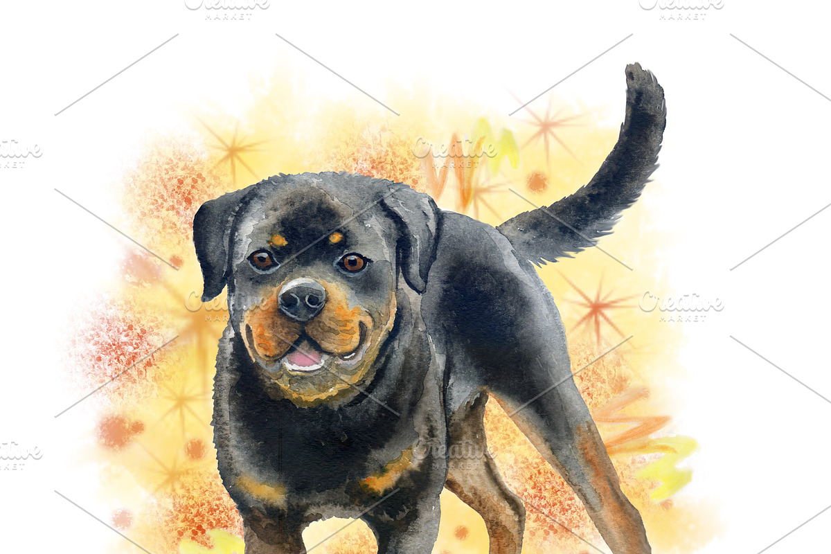 Watercolor Dogs Mega Big Bundle, an Illustration by Dneprstock (Photo 57 of 60)