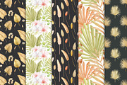 Tropical dried leaves set, an Illustration by svetodesign (Thumbnail 11 of 16)