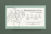 Home Plant Lover, a Decorative Illustration by Anna.Klets (Thumbnail 8 of 11)