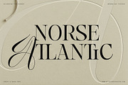 Hazel Shore - Serif & Script Duo, a Serif Font by SilverStag Type Foundry (Thumbnail 15 of 30)
