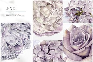 Lilac Purple Watercolor Flowers