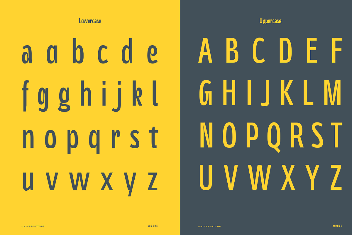 UT Polnuma - A Modern Sans Serif, a Sans Serif Font by Universitype (Photo 4 of 12)