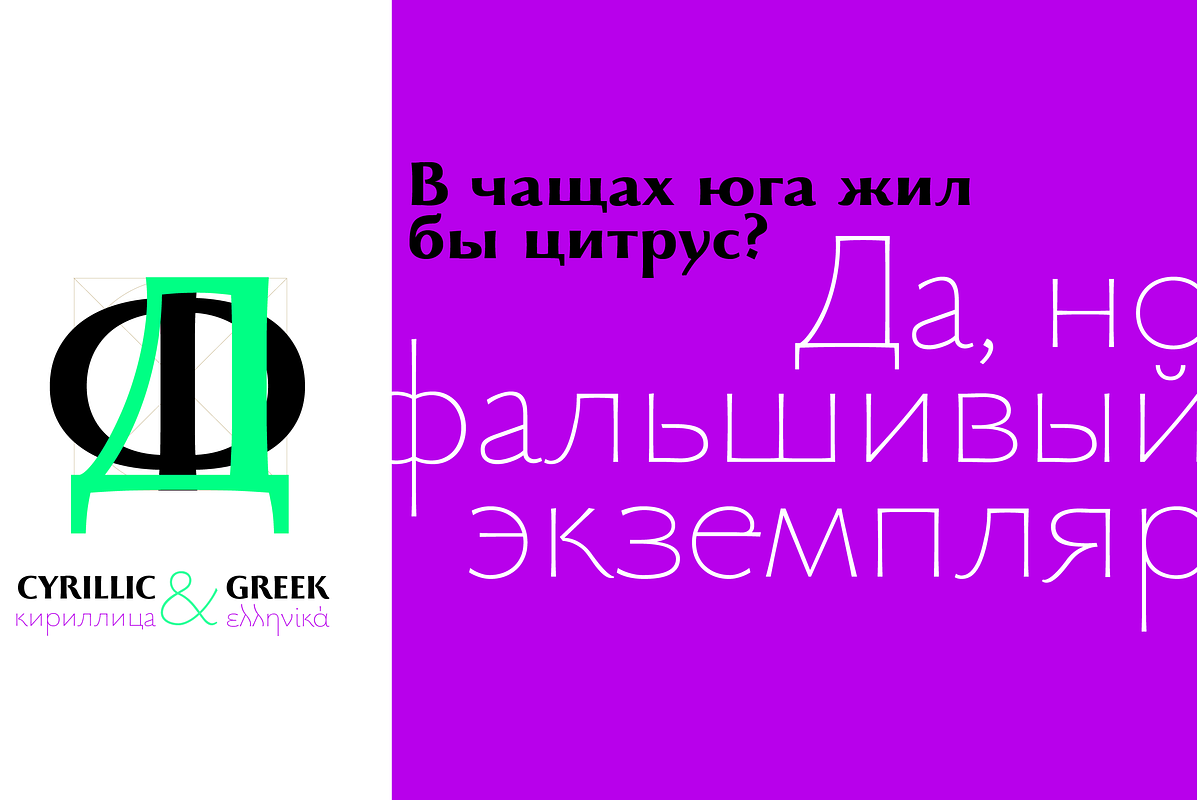 Beatrix Antiqua - 18 fonts, a Sans Serif Font by Zetafonts (Photo 9 of 10)