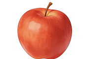 All Fruits Bundle Master Collection, a Food & Drink Photo by FlyeredTemplate (Thumbnail 115 of 130)