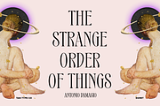 TAN - EGRET, a Serif Font by TanType (Thumbnail 9 of 19)