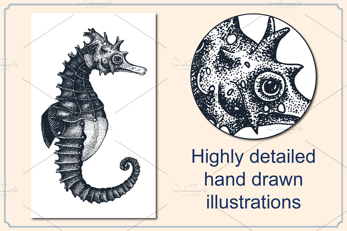 Marine Animal Hand Drawn Elements, an Animal Illustration by Artolabs (Photo 2 of 6)
