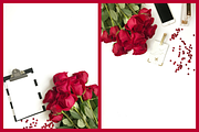 Red Roses Collection, a Business Photo by yamilette.platero (Thumbnail 4 of 6)