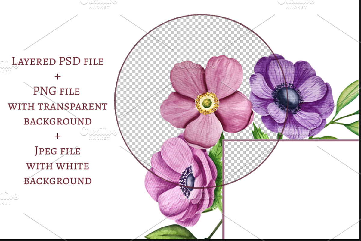 Watercolor Anemone Frame, a Decorative Illustration by Milla_Zelenyuk_art (Photo 2 of 3)