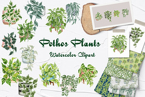 House Plants Watercolor Collection, an Object Graphic by BarvArt