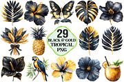 Black and Gold Tropical Clipart, an Illustration by Pixels.Craft (Thumbnail 1 of 7)
