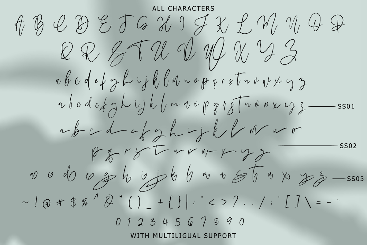 Megidame - Handwritten Signature, a Script Font by tebaltipislab (Photo 6 of 10)