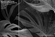 Realistic Black Grunge Textures, a Texture Graphic by Ary_ngeblur (Thumbnail 5 of 7)