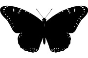Butterfly Silhouette Bundle, an Object Graphic by Designer_Momina (Thumbnail 16 of 20)