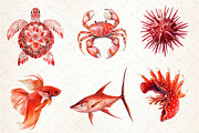 Red Ocean Animals Clipart, an Illustration by Dream Creation (Thumbnail 2 of 6)
