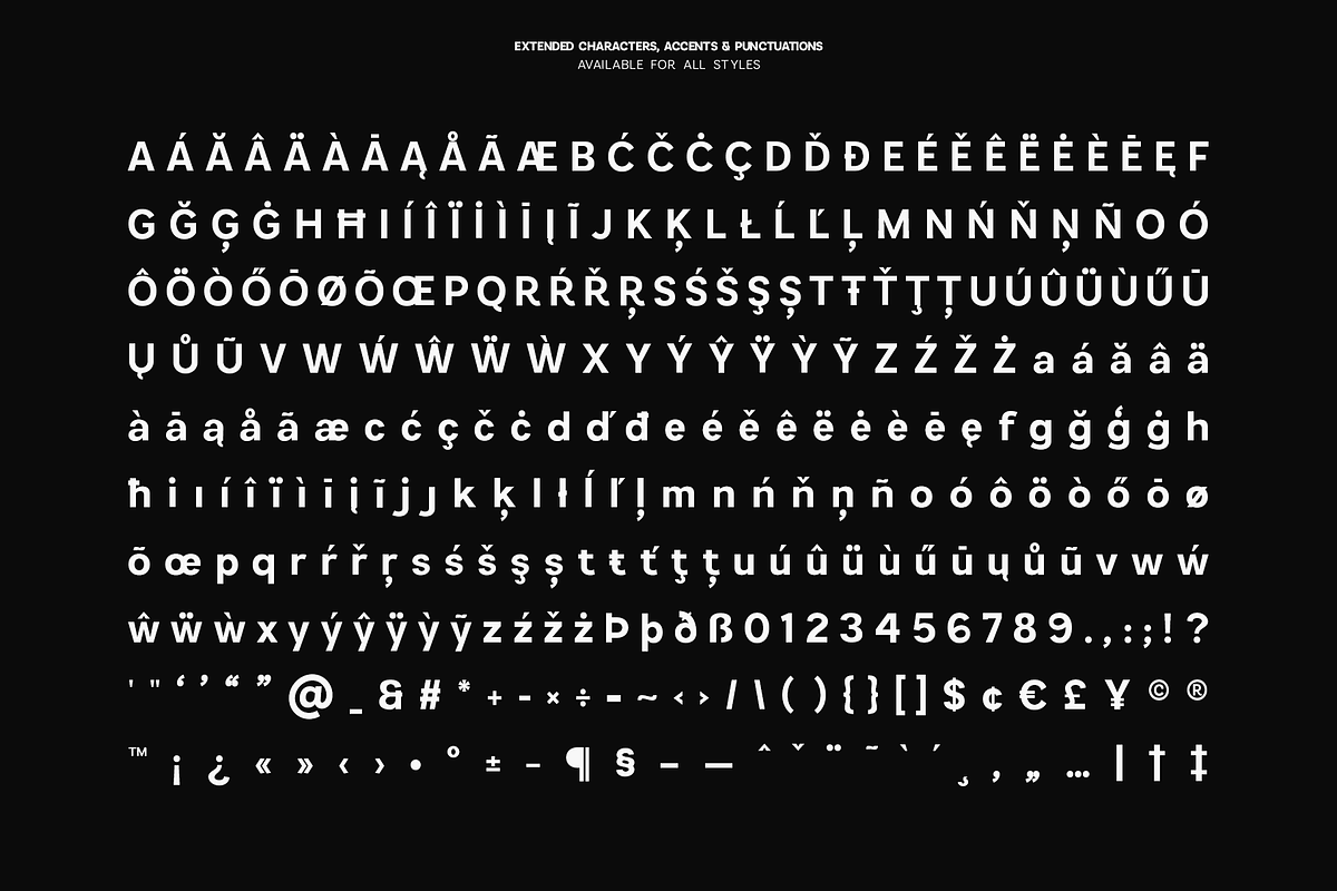 Armonia Sans - Variable Typeface, a Sans Serif Font by VP Fonts (Photo 24 of 33)
