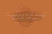 Mood Board script font, a Serif Font by Anna Zakharchenko (Thumbnail 19 of 23)
